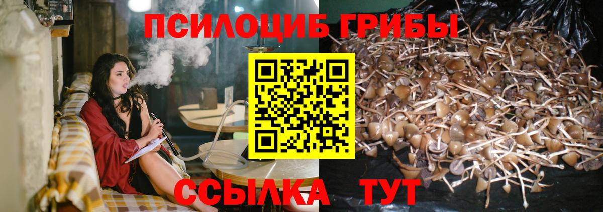 цены   Галлюциногенные грибы ЛСД  Вход с VPN  Димитровград 