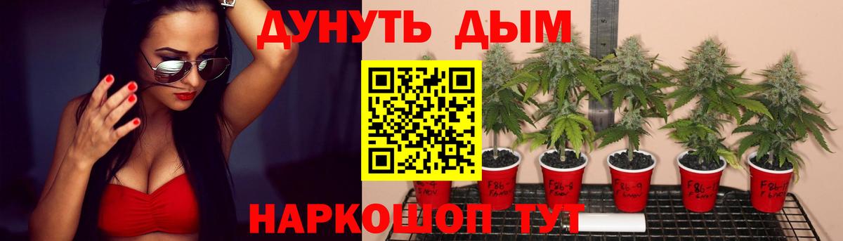 Канабис тримм Димитровград